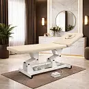 AURA Стол массажный (VLK 261, электропривод, 2 мотора)