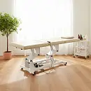 NOVA Стол массажный (VLK 261, электропривод, 1 мотор)